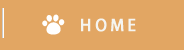 ホーム