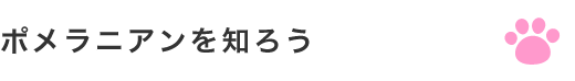 ポメラニアンを知ろう