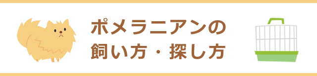 ポメラニアンの飼い方・探し方・お世話・しつけ