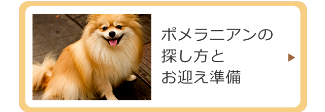 ポメラニアンお迎えの準備